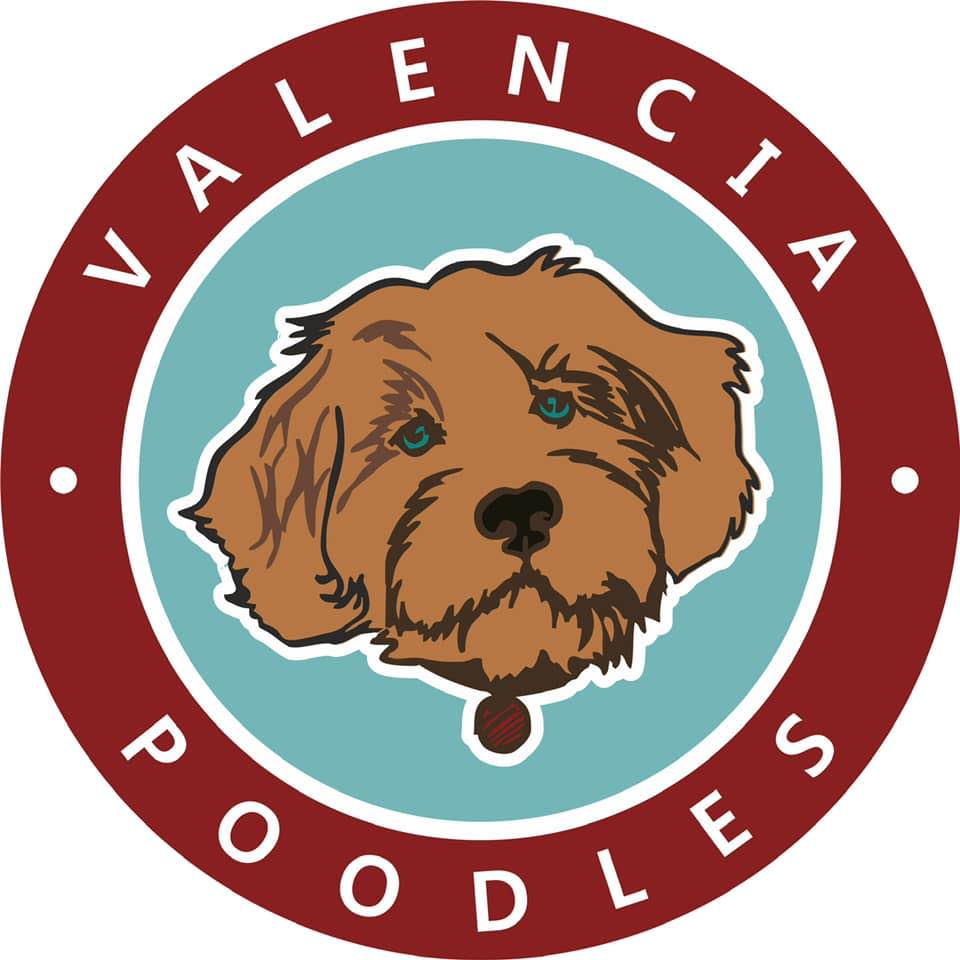 Valencia Poodles